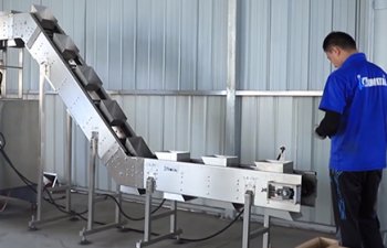 Automatic Packing Machine